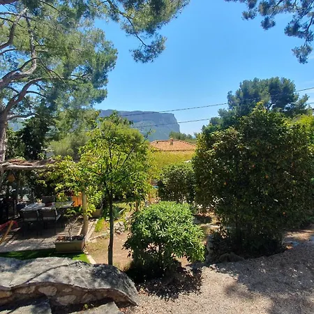 Avec Jardin Dans Rocaille