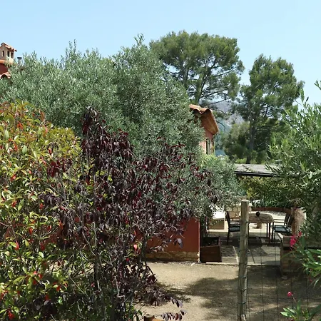 Avec Jardin Dans Rocaille