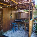 Avec Jardin Dans Rocaille カシ