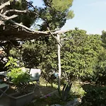 Avec Jardin Dans Rocaille *