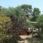 Avec Jardin Dans Rocaille