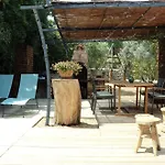 Avec Jardin Dans Rocaille カシ