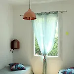 Avec Jardin Dans Rocaille カシ