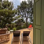 Avec Jardin Dans Rocaille カシ