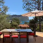 Avec Jardin Dans Rocaille カシ