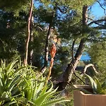 Avec Jardin Dans Rocaille
