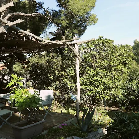 Avec Jardin Dans Rocaille *