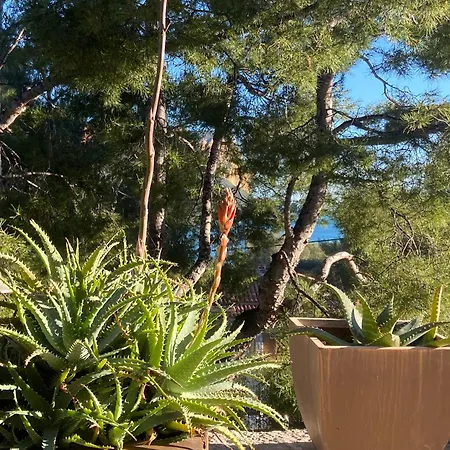 Appartamento Avec Jardin Dans Rocaille