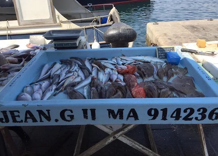 Appartamento Avec Jardin Dans Rocaille