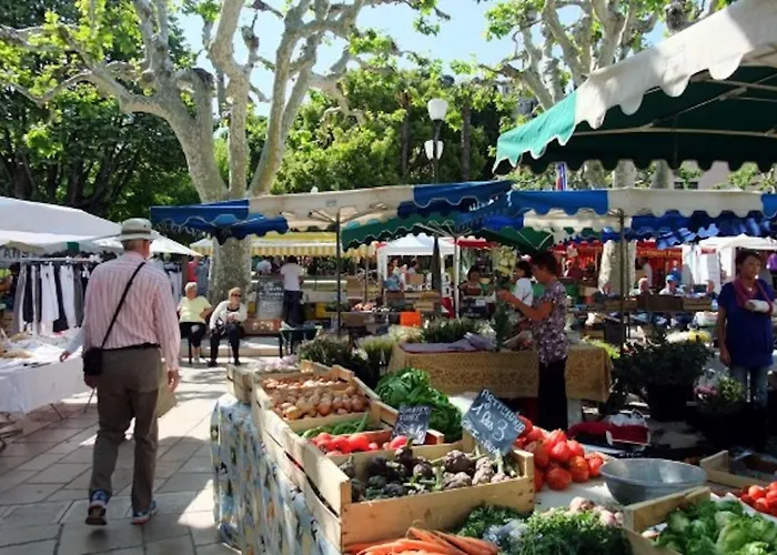 Avec Jardin Dans Rocaille