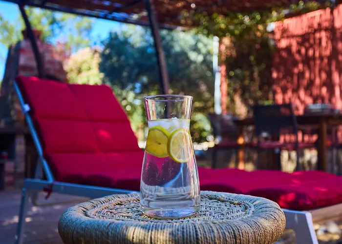 Avec Jardin Dans Rocaille Cassis