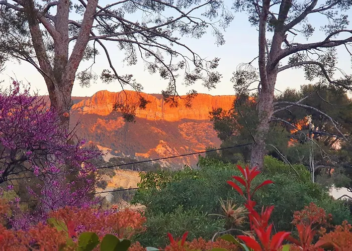 Appartamento Avec Jardin Dans Rocaille Cassis