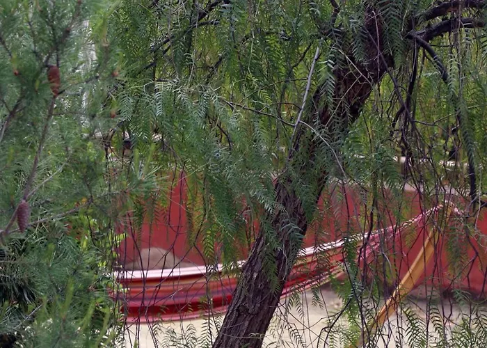 Appartamento Avec Jardin Dans Rocaille Cassis