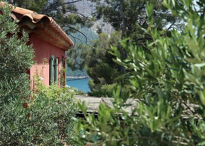 Avec Jardin Dans Rocaille Cassis