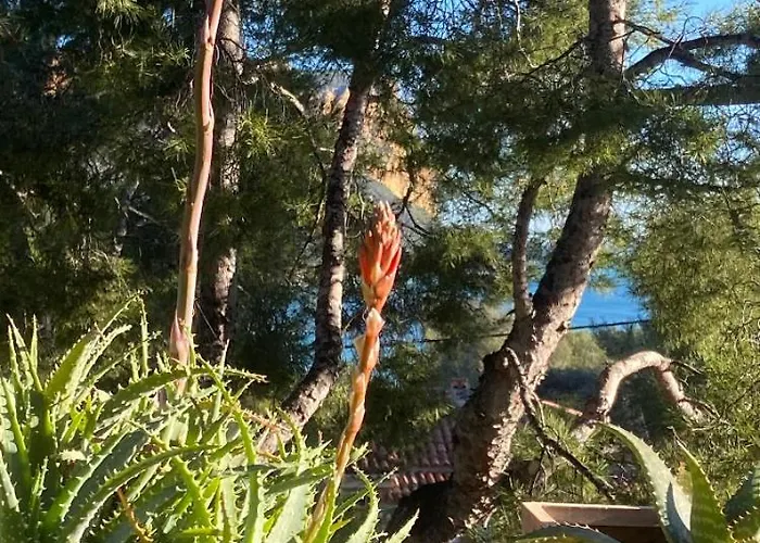 Avec Jardin Dans Rocaille